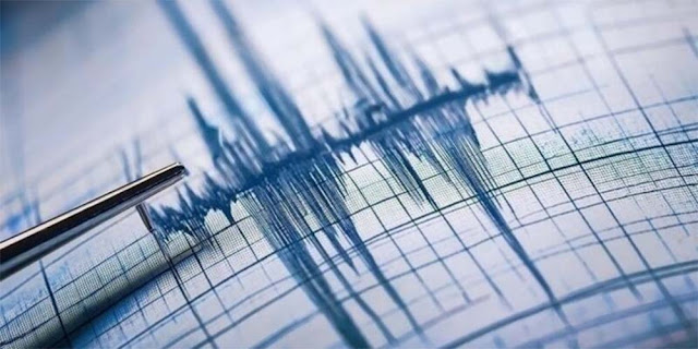 Gempa 7,5 Magnitudo Guncang Honduras dan Karibia, Picu Peringatan Tsunami