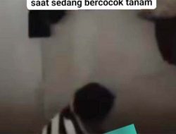 Video Syur Berdurasi 1 Menit Viral di Facebook, Diduga Terjadi di Mamuju