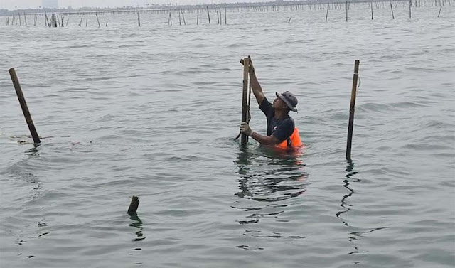 Kasus Penerbitan HGB di Laut Sidoarjo Naik ke Penyidikan