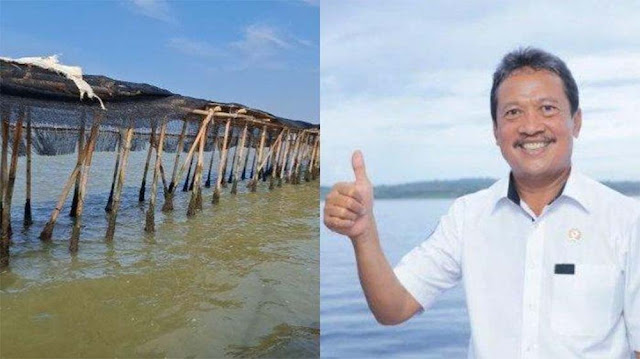 Anggota DPR Tak Puas dengan Jawaban Menteri KP, Tuding Trenggono Tutupi Dalang Kasus Pagar Laut