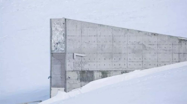 Terungkap! Begini Penampakan dalam Gudang Benih Kiamat di Svalbard