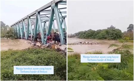 Viral Warga Bekasi Berebut Ayam yang Hanyut Terbawa Banjir, Agak Lain!