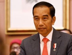 Terungkap! Jokowi Lebih Dulu Tertarik Bangun SWF Ala Indonesia