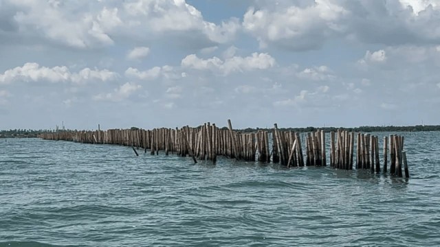 Waduh! Faktanya Pagar Laut di Kohod Masih Berdiri Tegak, Nelayan Kecewa Merasa Dibohongi