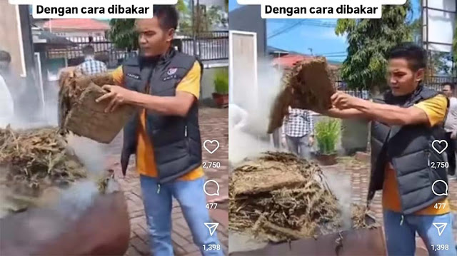 Viral Video Polisi Musnahkan Ganja di Tempat Terbuka: Warga Sekitar Nge-fly