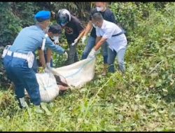 Pura-pura Beli Mobil, Prajurit TNI Tembak Mati Sales saat Test Drive, Mayat Korban Dibuang ke Gunung Salak