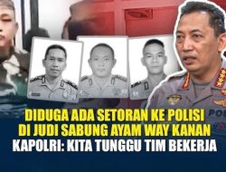 Kodam Sriwijaya Ungkap Dugaan Setoran ke Polisi di Gerebek Sabung Ayam, Respons Kapolri: Tunggu Tim Bekerja