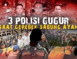 4 dari 13 Polisi Melihat Oknum TNI Berbuat Ini di Arena Sabung Ayam Way Kanan