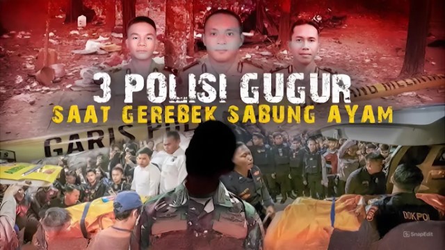 4 dari 13 Polisi Melihat Oknum TNI Berbuat Ini di Arena Sabung Ayam Way Kanan