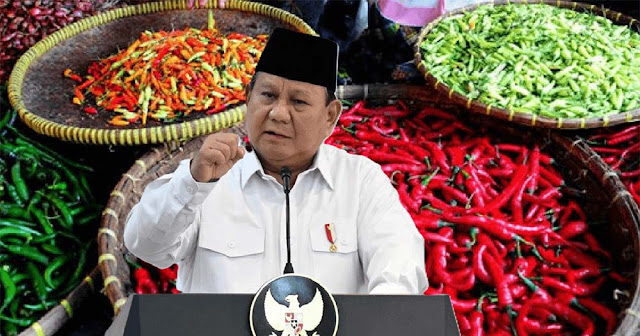 Atasi Lonjakan Harga Cabai, Prabowo Imbau Warga Tanam Cabai Sendiri di Rumah