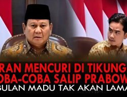 Pengamat Politik: Usulan Gibran Dimakzulkan Tidak Bisa Dipisahkan Dari Pilpres 2029!