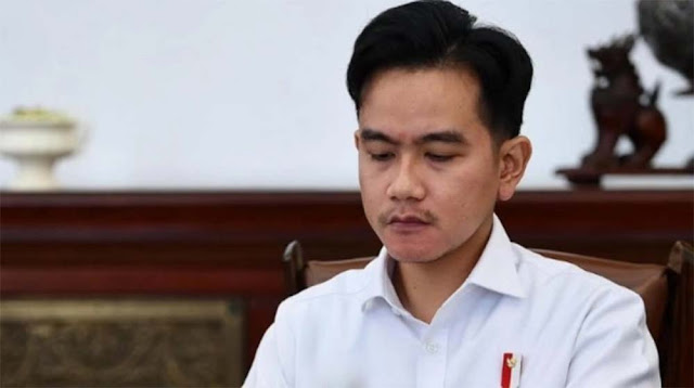 Desak Pemakzulan Gibran, Purnawirawan TNI Dinilai Barisan Sakit Hati