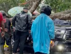 Anggota Polisi Meninggal Usai Tertimpa Pohon Tumbang, Anak dan Istrinya Luka-Luka