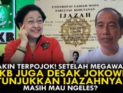 Polemik Ijazah Palsu Kembali Menguat: PKB dan Megawati Desak Jokowi Tunjukkan Ijazah Asli!