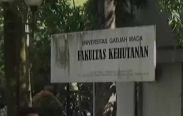 Isu Ijazah Palsu Jokowi Bikin Anak Muda Ogah Kuliah di UGM, Katanya Mirip Universitas Abal-abal di Bangunan Ruko