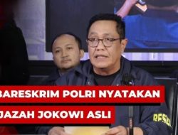 Arti Lain Memang Ijazah Aslinya Tidak Ada