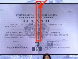 Cuma Bisa Tampilkan Fotocopy Ijazah Jokowi di Layar Lebar, Netizen Fokus Lekukan di Tengah Ijazah Asli Jokowi. Kok Ada Lipatannya, Ijazah Apa Duit?