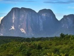 WOW! Indonesia Punya Bahan Baku Nuklir 24.1112 Ton di Kalimantan, Mau Diapakan?