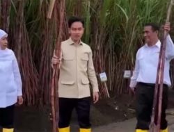 Kesulitan Gunakan Arit Saat Potong Tebu, Wapres Gibran Bikin Warganet Heran: Jadi Bisanya Apa?