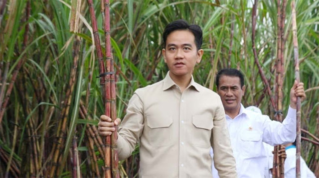Pemakzulan Gibran Belum Dibahas Parlemen, Surat Misterius Lain Diterima DPR