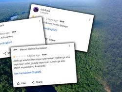 Netizen +62 Balas Beri Rating Bintang 1 untuk Hutan Amazon, Imbas Gunung Rinjani Dapat Penilaian Buruk