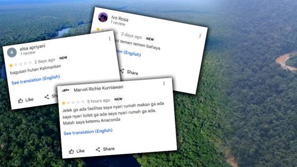 Netizen +62 Balas Beri Rating Bintang 1 untuk Hutan Amazon, Imbas Gunung Rinjani Dapat Penilaian Buruk