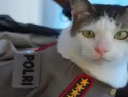 Kucing Bobby Kertanegara Tampil Pakai Seragam Polisi Bintang 4, Sinyal Pergantian Kapolri?