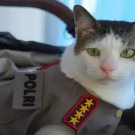 Kucing Bobby Kertanegara Tampil Pakai Seragam Polisi Bintang 4, Sinyal Pergantian Kapolri?