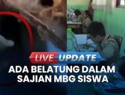 HEBOH Lauk Ayam MBG Ada Belatung Bikin Para Siswa Mual, Respons BGN: Cuma 4 Dari 3.400 Porsi Yang Terkontaminasi