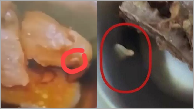 Hii, Ada Belatung dalam Makanan Bergizi Gratis di Tuban, Siswa Rekam dan Unggah ke Medsos