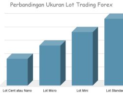 Lot Forex: Apa Itu dan Apa Perannya Dalam Trading Forex?