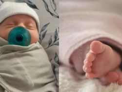 Bayi Tertua di Dunia Berusia 31 Tahun Lahir dengan Selamat