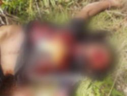 TNI Lumpuhkan 8 Anggota OPM Papua Usai Kontak Tembak Terjadi
