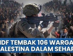 Biadab! Data Rahasia Israel Bocor, 83% Korban Tewas Gaza Ternyata Warga Sipil