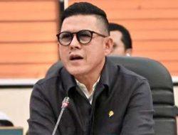 Legislator Golkar: Noel Coreng Muka Presiden