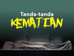 KPK Sita Toyota Alphard Milik Eks Wamenaker Noel