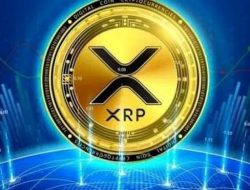 Bitcoin and Dogecoin continue to be strong. How can we make steady profits in cloud mining?