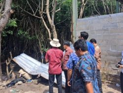 Kacau, Tanah Hutan Milik Negara di Bali Jadi Hak Milik Warga Asing, Terbit Sertifikat Pula