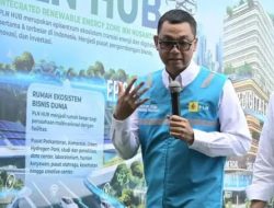 Dugaan Mark Up Anggaran Legal di PT PLN: Dari Rp 15 M, yang Diterima hanya Rp 1,5 M