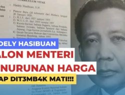 Presiden RI Tolak Sosok Ini Jadi Menteri karena Idenya Terlalu Gila!