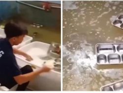 Viral Video Tempat Makanan MBG Dicuci Pakai Air Kotor hingga Netizen Geram