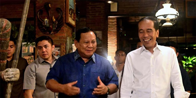 Efriza: Jokowi Minta Perlindungan Prabowo