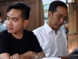 Tipis Peluang Jokowi-Gibran Lolos