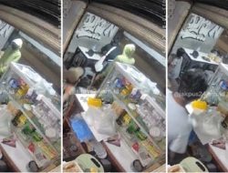 Detik-Detik Geng Motor Bersenpi Serang Warkop di Tanah Abang, Tembak Pemilik dan Karyawan