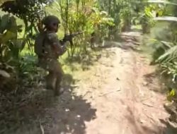 14 Orang Dilaporkan Tewas dalam Kontak Tembak di Kampung Soanggama, Intan Jaya