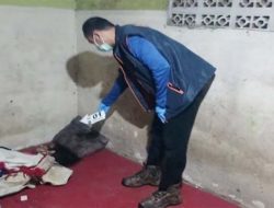Tewas Dicekik Kabel Charger HP, Detik-detik Skenario Keji ABG di Cilincing Pemerkosa Siswi SD