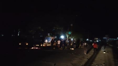 Kericuhan di Sorong Dipicu Pembakaran Mahkota Burung Cenderawasih oleh BKSDA Papua