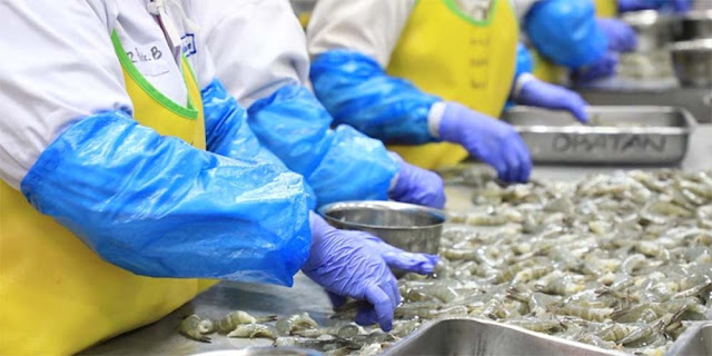 Paparan Cesium-137 dari Kontainer Bikin Udang Indonesia Di-blacklist Amerika