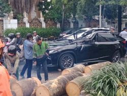 Korban Tewas Tertimpa Pohon Tumbang Berusia 50 Tahun