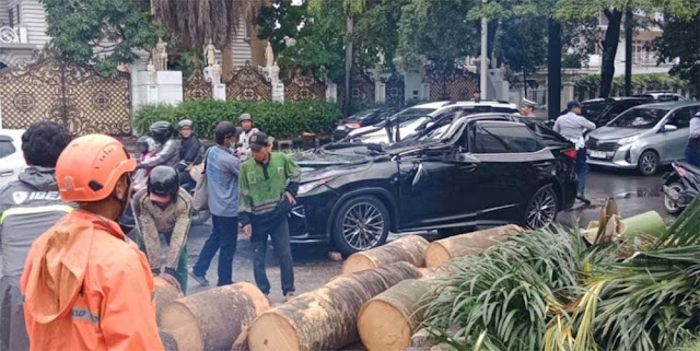 Korban Tewas Tertimpa Pohon Tumbang Berusia 50 Tahun